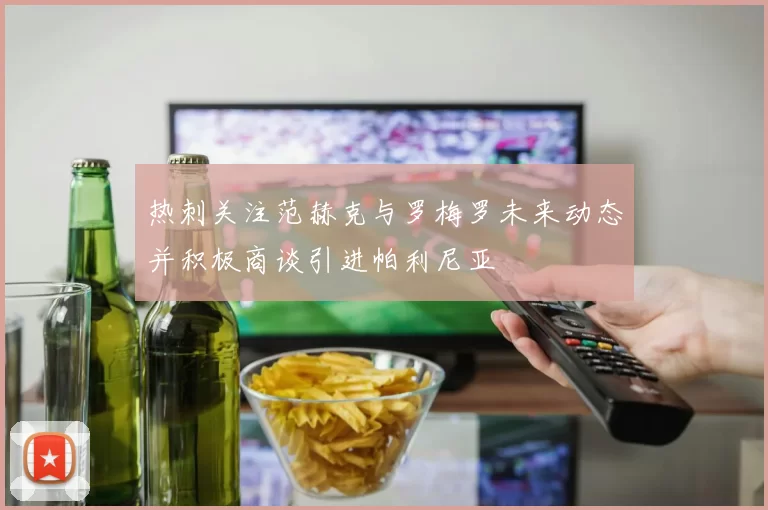 热刺关注范赫克与罗梅罗未来动态并积极商谈引进帕利尼亚